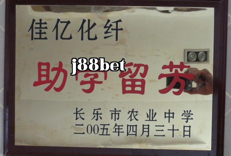 Danh hiệu 24