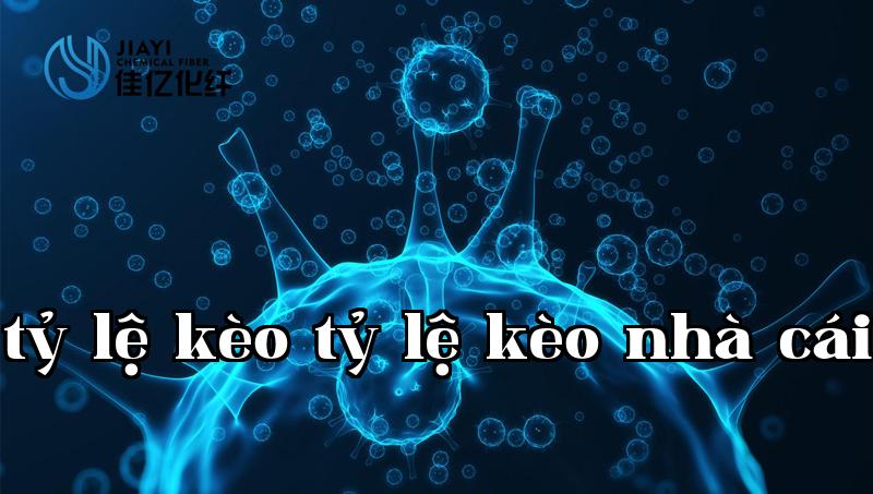 Mô tả sản phẩm 1