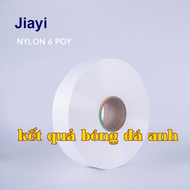 Sợi nylon partially oriented yarn (POY) dùng cho dệt và