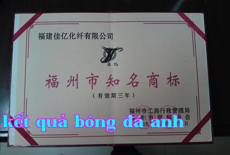 Danh hiệu 29