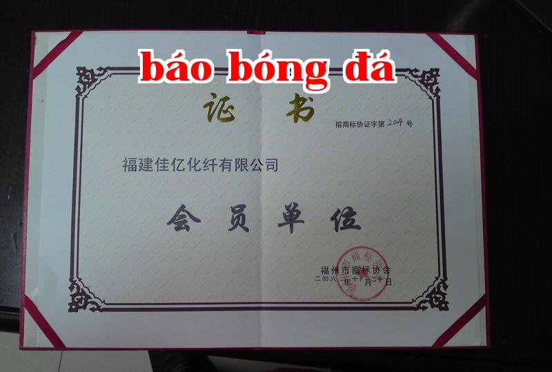Danh hiệu 33