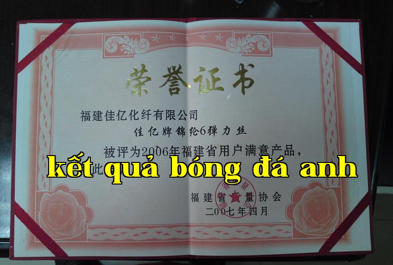 Danh hiệu 31