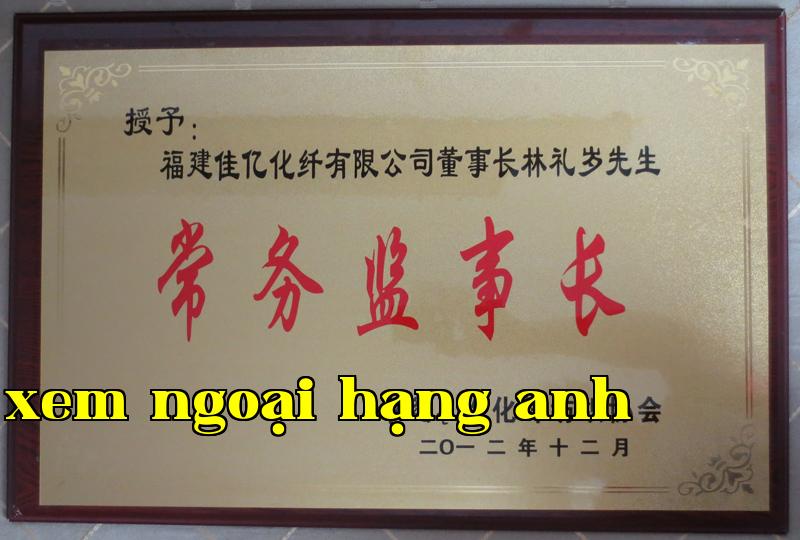 Danh hiệu 21