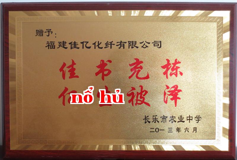 Danh hiệu 10